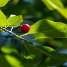 БыстроВизитка